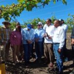 UFHEC impulsa innovación agrícola con plantación de uvas en San Juan