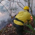 San Juan / Medio Ambiente sofoca gran incendio forestal en la loma Los Arroyos